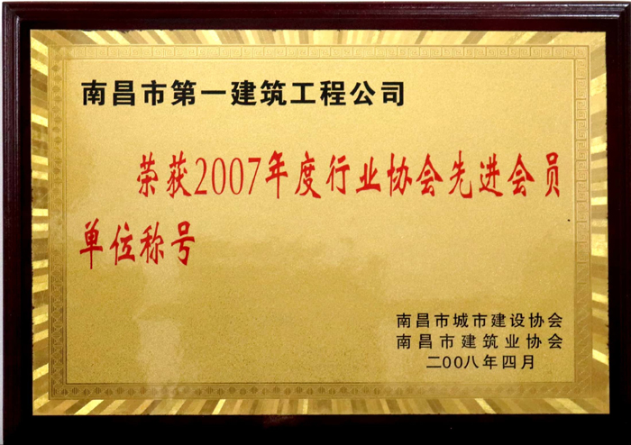 2008.4 2007年度行業(yè)協(xié)會先進會員單位稱號.jpg